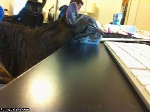 Just Resting My Head