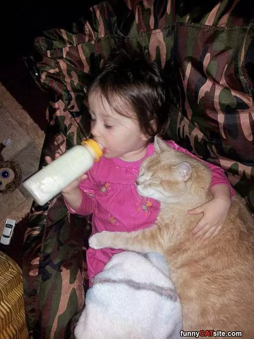 Little Buddies