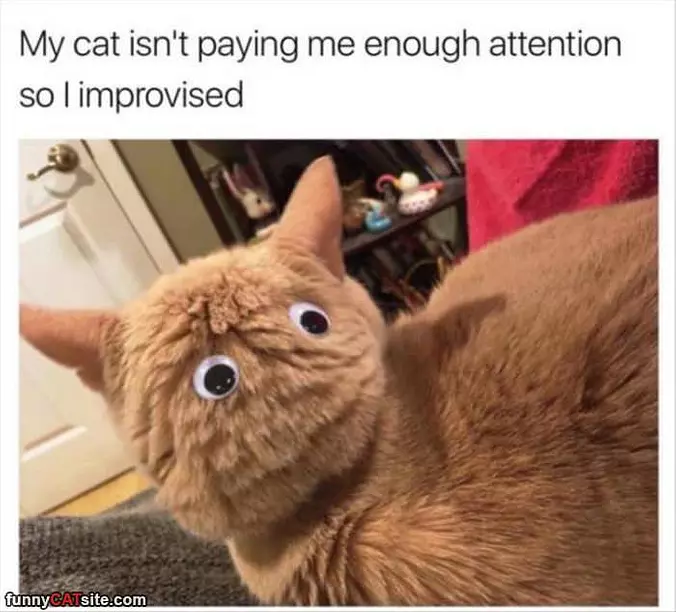 Not Paying Enough Attention
