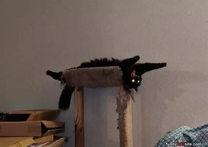 Rawwwwwwwwwwwwwww