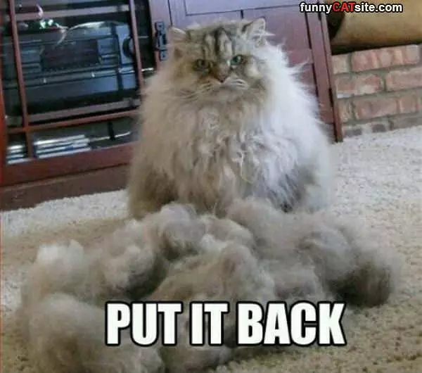 Put It Back