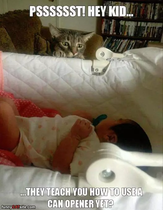 Pssst Hey Kid