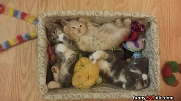 All Cuddled In Here