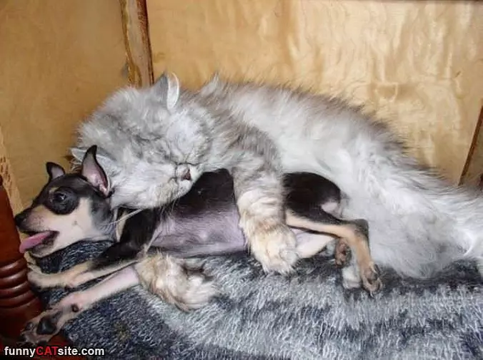 I Want To Hug It Out
