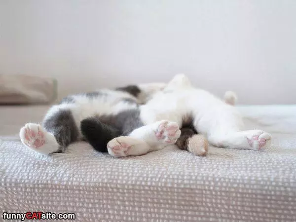 Super Chill