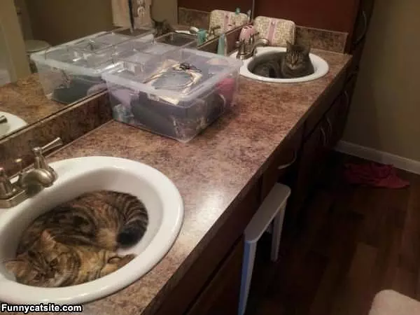 One Sink Each