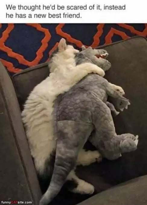 A New Best Friend