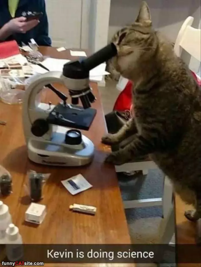 Doing Science
