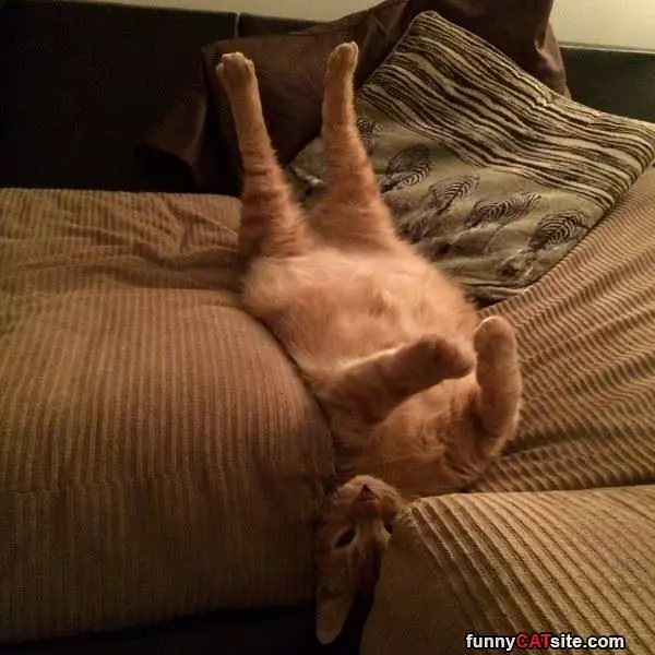 Dont Judge My Sleeping