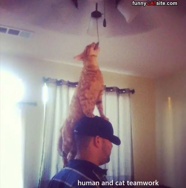 Some Teamwork
