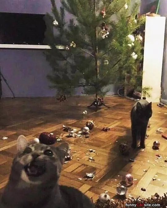 A Great Success