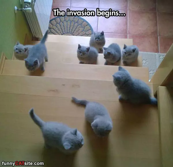 The Invasion Begins