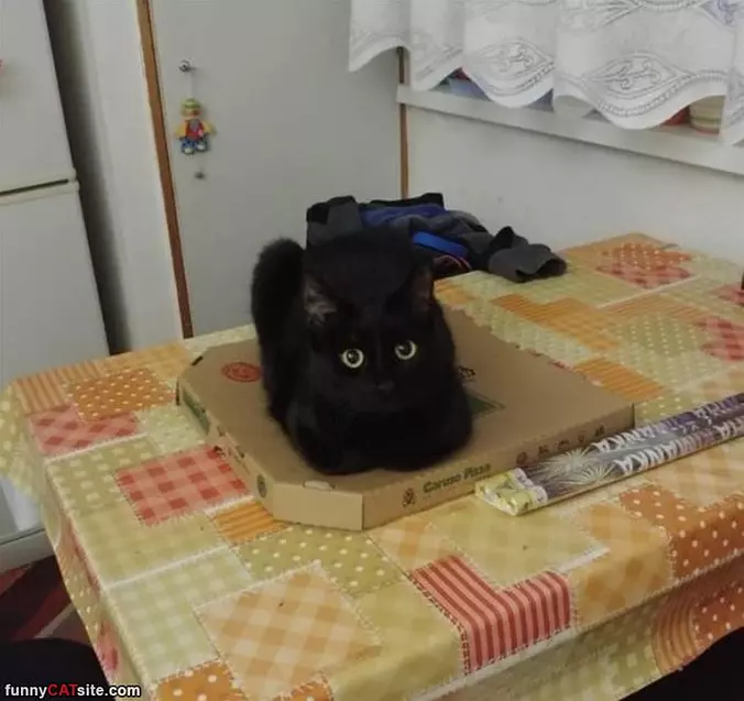 This Is My Box Now