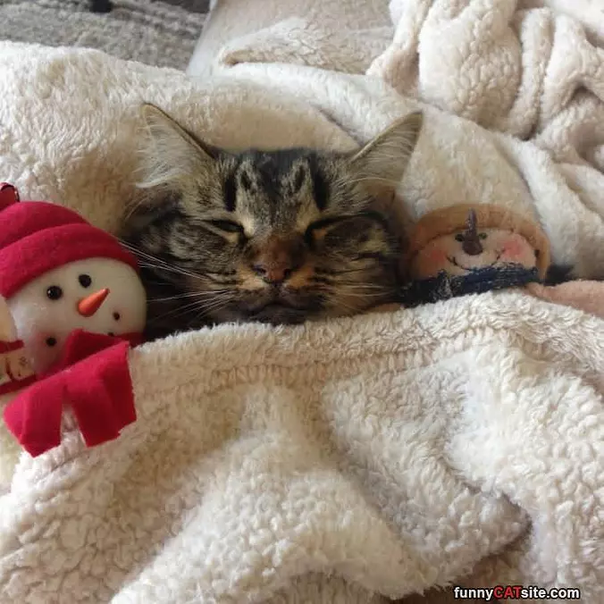 Tucked In Big Time