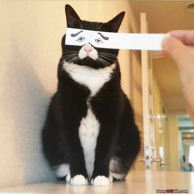 Meh