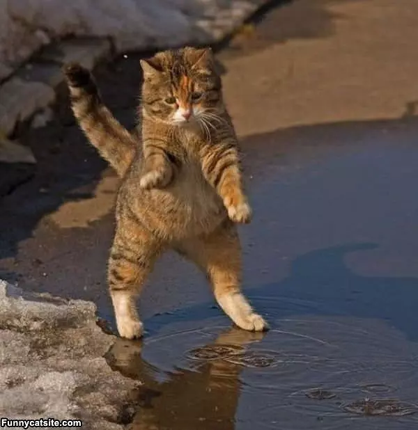 That Stuff Is Wet