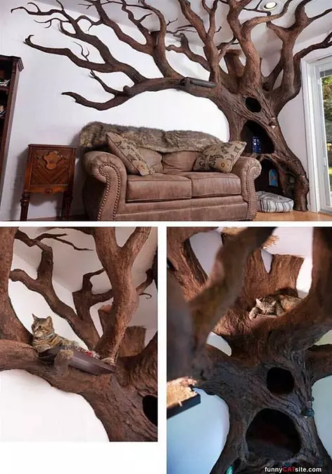I Have A Cat Tree