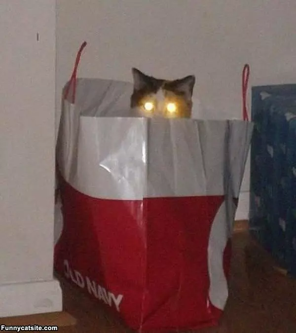 Lasers Fully Charged