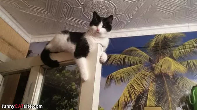 Hanging On The Door