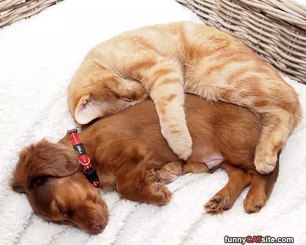 Staying Very Warm