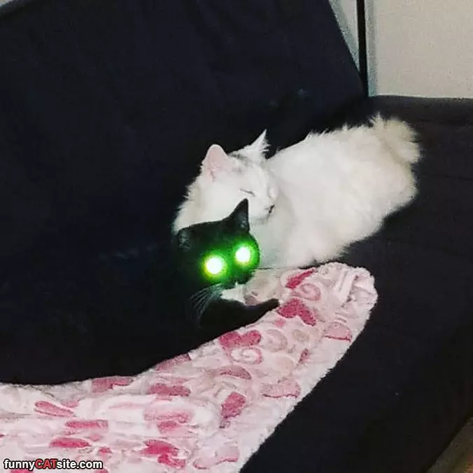Fully Charged
