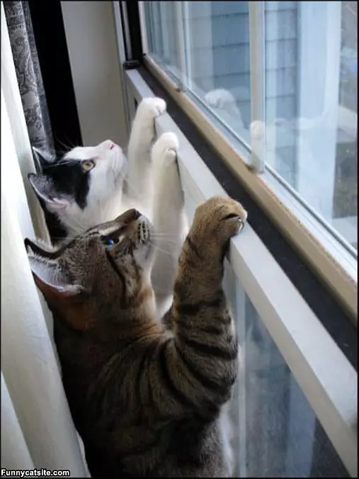 Ready To Climb