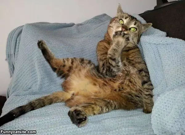 I Am Just Relaxing Around