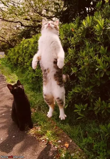 Beam Me Up