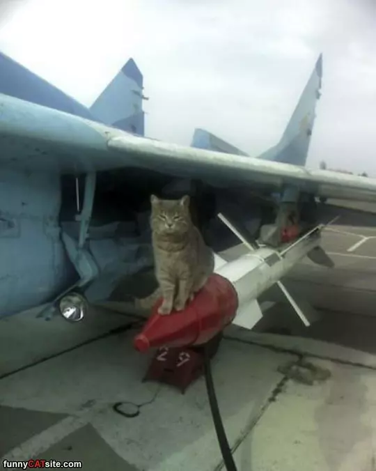 Ready To Launch