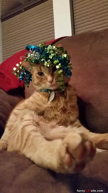 This Is My Hat
