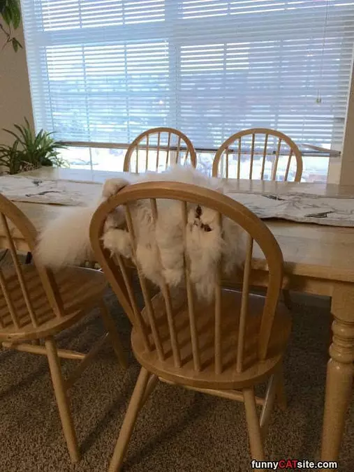 Help Me Human