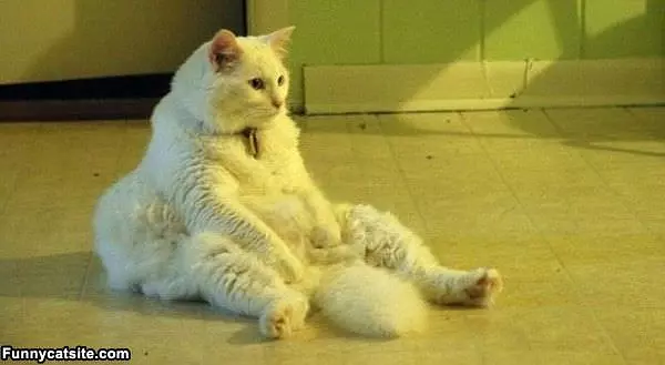 Not Now Im Resting