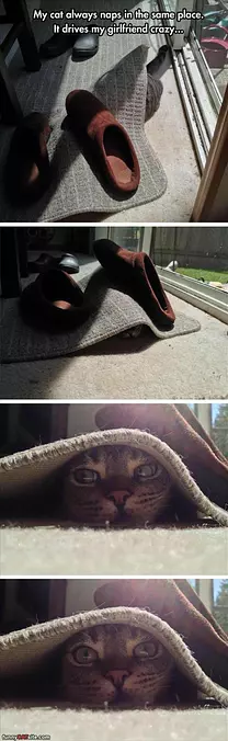 Naps In The Same Place