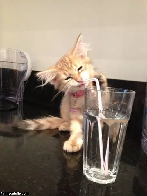 How Do You Work This Thing