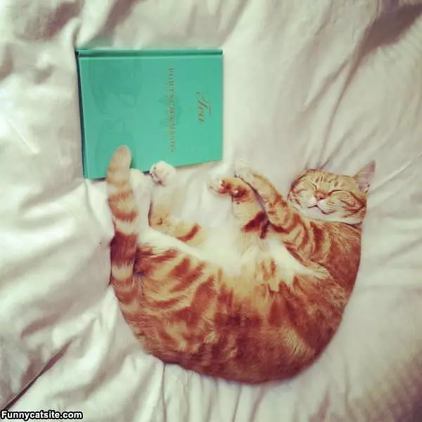 I Am So Sleepy