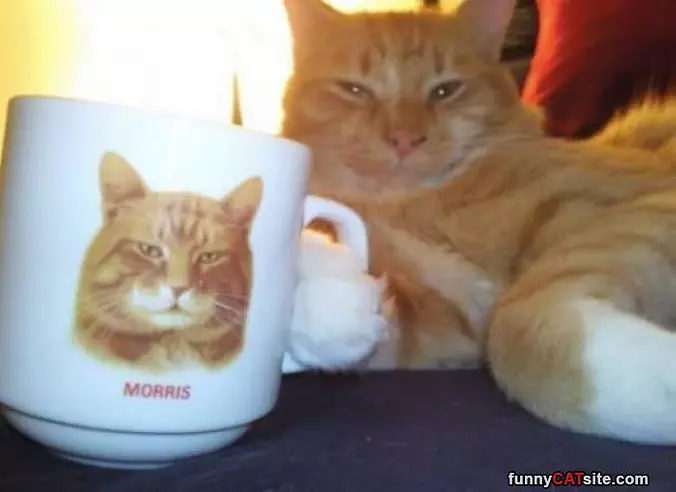 Morris