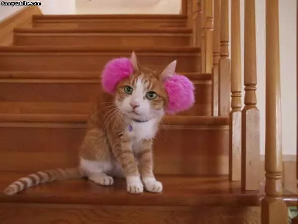 Pink Earmuffs