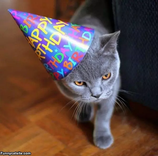 Hello Happy Birthday