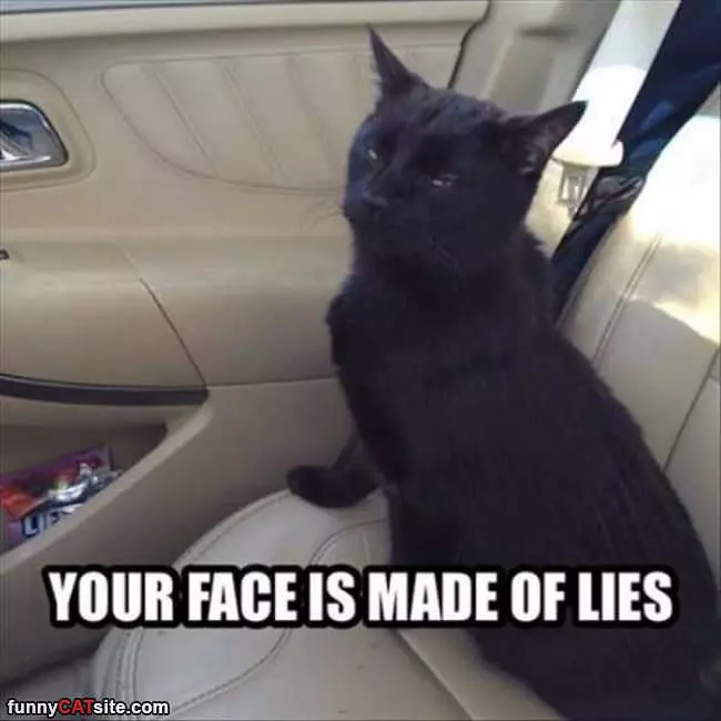 Your Face Is Made Of Lies