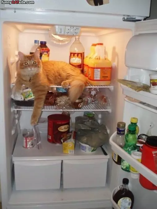 Getting A Snack