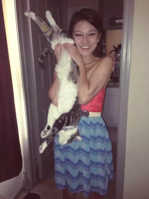 Upside Down Cat