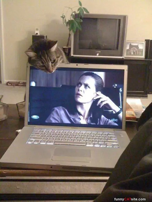Hey Get Off