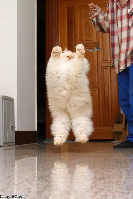 Doing A High Jump