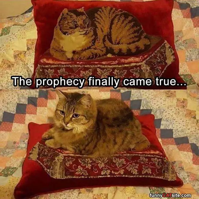 It Came True