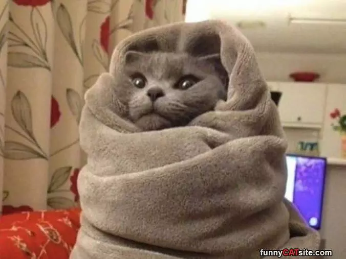 Super Cuddled Up