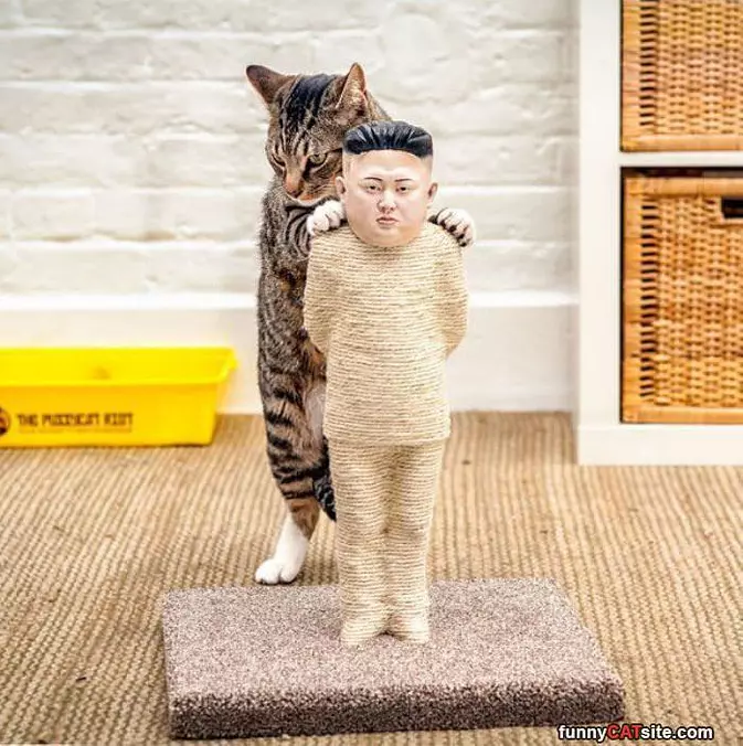 Nice Scratching Post
