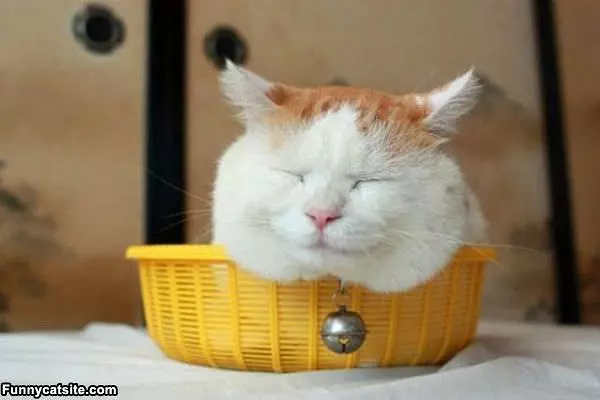 I Fit Fine Its Ok