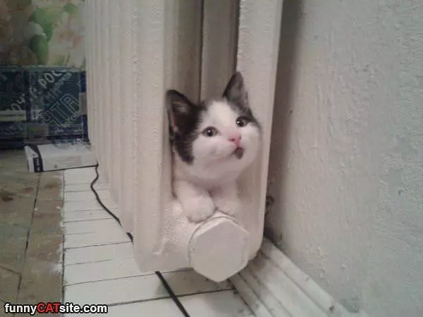 So Warm In Here