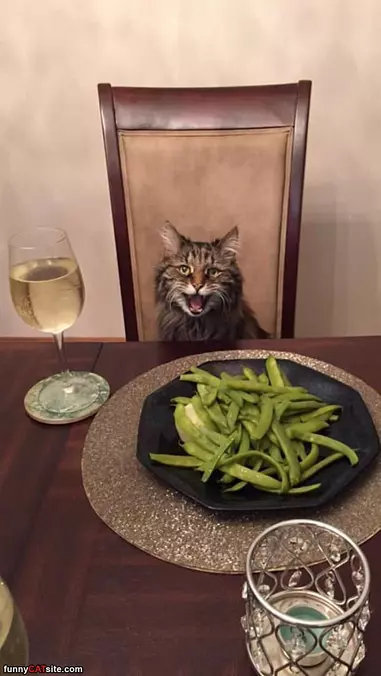 I Love Greens