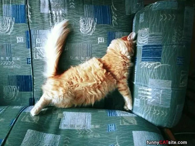 A Big Stretch